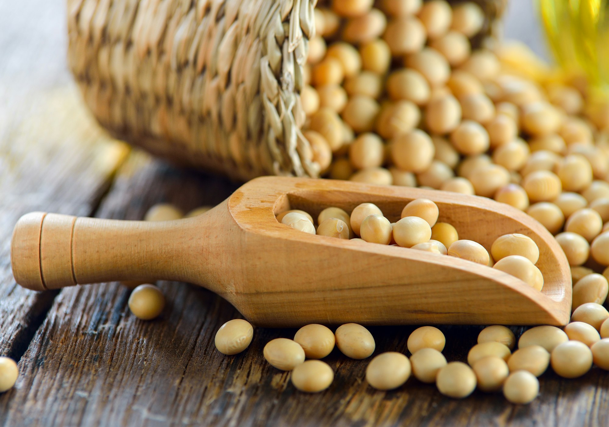 soy bean and oil on wood table